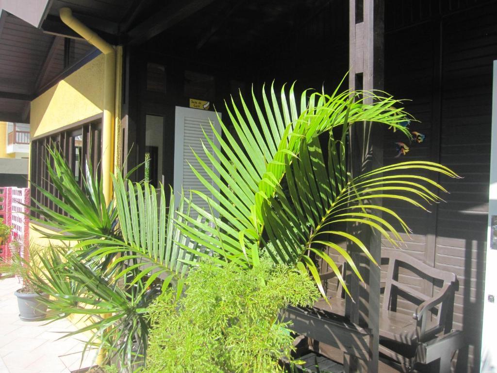 賓館 Vento Sul Florianopolis
